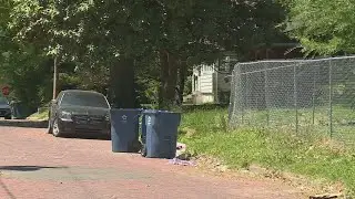 15-year-old Alton boy gunned down; suspect in custody