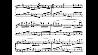 Wagner/Brassin - Forest Murmurs
