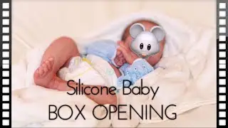 My first SILICONE BABY DOLL Box Opening/ Dream Baby by amazing IIORA Master Artist/ Silicone Jayden