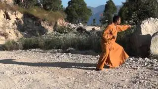 Shifu kanishka Shaolin Temple 18( Shiba) Luohan Quan