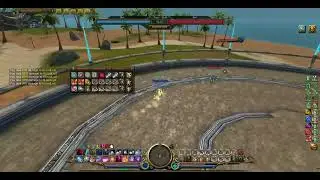 BloodLust Lv70 Assassin VS Roengeurin Lv70 Guardian Part 2