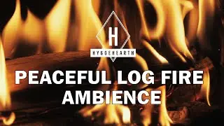 Cosy + Hygge Ambience &ndash; Log Burning Fireplace for Relaxing, Deep Focus & Studying. No music. #hygge