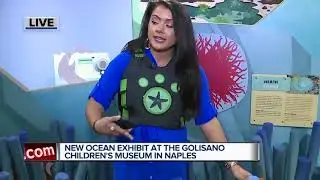 Children's Museum of Naples hosting special Wild Kratts ocean exhibit