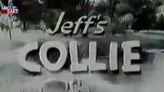 Collie (Lassie) Cap 6 (Incompleto) (Latino) (1954)