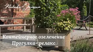 Контейнерное озеленение: идеи и примеры к новому садовому сезону 🌿