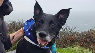 Day 3 of 75 Miles for MNDA | Short Walk in Bad Weather 🌧️🐾
