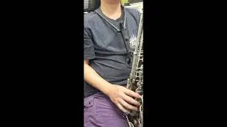 空空避世學 (SAXOPHONE COVER)