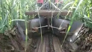 Small Tractor Cane Earthing up Trench Ridger  छोटे ट्रेक्टर से गन्ने पर मिट्टी चढ़ाने का ट्रेंच रिजर