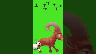 Animal running 3D video green screen #stampede #copyrightfree #animal