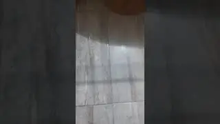 كيف اختار سوفاج نغمة