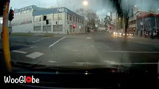 Tree Fell on Car Captured by Dashcam || WooGlobe