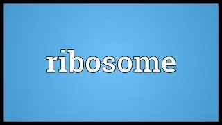 Ribosome Meaning