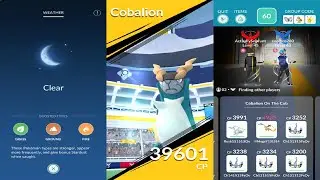Cobalion Duo in Clear weather (Shiny Reward!)