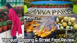 Anna Park vlog|Yercaud Food Street Review |Yercaud Shopping|கல் மீன் |முடவாட்டுக்கால் கிழங்கு சூப்