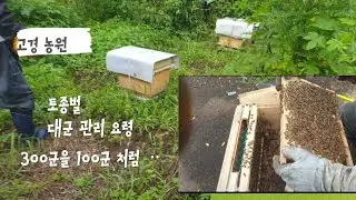 토종벌 300군을 쉽게 관리한다면ᆢ