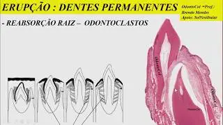OdontoCol: Aulas espec&iacute;ficas e diversificadas para odontologia.