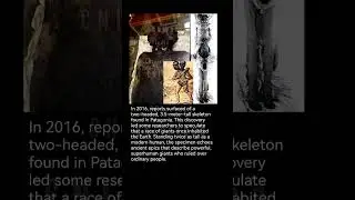 In 2016, reports surfaced of a two-headed, 3.5-meter-tall skeleton found in Patagonia.