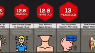 Timeline meme 