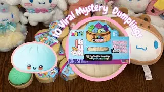 Unboxing VIRAL MYSTERY DUMPLINGS || WE GET THE RARE HOLOGRAPHIC DUMPLING?? || TIE DYE DUMPLINGS