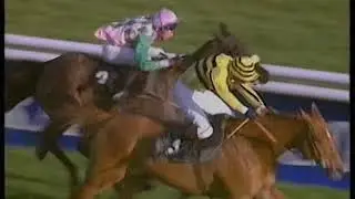 1993 Queen Mother Champion Chase Deep Sensation Includes Replay & Enclosure