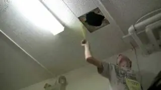 Yearbook DVD