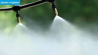Plant Water Dripping System Garden Drip Watering Misting System Agriculture Greenhouse Irrigation