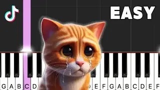 Miaw Miaw Miaw TikTok Sad Song | Piano Tutorial (EASY)