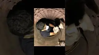 This video will TRIGGER your CLAUSTROPHOBIA 😰⚠️