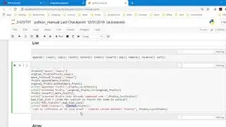 python lists