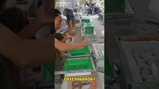 Ternyata cuma begini cara membuat cetakan roster Fiber 08817036607