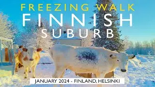 Relaxing Finnish Suburb Walk: Malmi, Helsinki, January 2024, Finland [4K] #slowtv