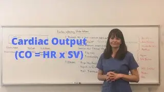 Preload, Contractility & Afterload | Cardiac Output 101
