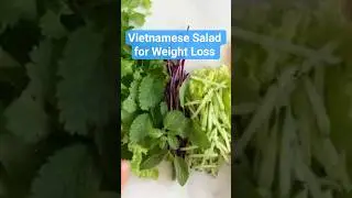 Vietnamese Salad for Weight Loss - 450 Calories!#WeightLoss #VietnameseSalad #HealthyRecipes