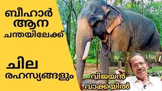 ബീഹാർ ആന ചന്തയിലേക്ക് | ചില രഹസ്യങ്ങളും | Bihar Elephant Market | Vijayan Vakkayil | Elephant Frames
