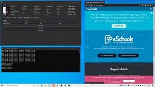 Oracle | Best stresser 2020 | Cheap!