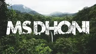 How To Create Name Art Photo Editing | Viral Name Urban Jungle Font Photo Editing  #msdhoni