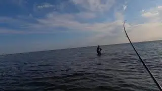 Sea bass lure fishing on 140 mackerel patchinko !