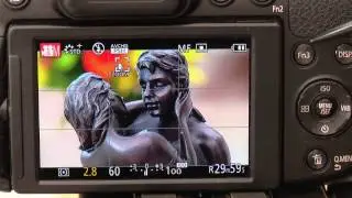 How to Do a Manual Focus Pull in Video Mode with the Panasonic Lumix FZ200