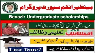 EHSAAS Undergraduate Scholarship 2025 | Complete Details university students | SPECIAL BS PROGRAM