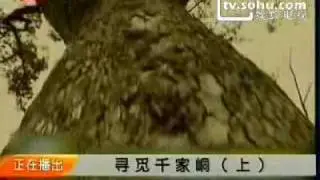 Yiuh Mienh (Iu-Mien) Yao History Story - Searching for Qianjiadong Part I
