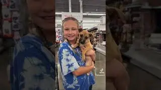 Adoption Day @ PetSmart