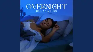 Sleep Efficiency