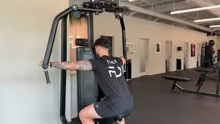 Reverse Pec Deck (Rear delt focus)