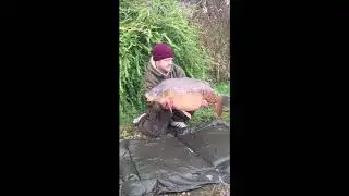 33.12 mirror carp from churn pool