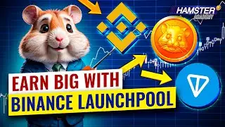 Стейкинг криптовалют: что такое стейкинг и как он работает? ⚡️ Hamster Academy