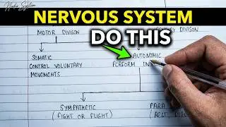 Parts of nervous system | Classification of nervous system | CNS and PNS