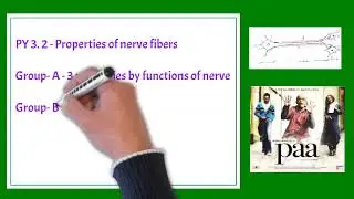 Properties of Nerve fiber