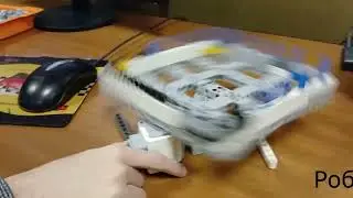Кіт-танцюрист