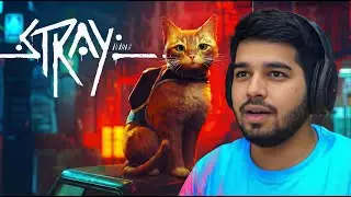 We can Contact to outsiders😃|| Stray
