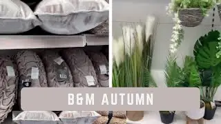B&M shopping September 2022